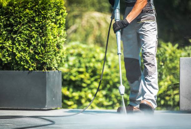 Best Building Exterior Pressure Washing in Shady Hollow, TX