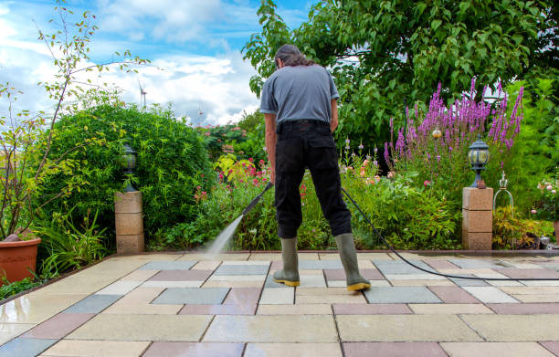 Best Driveway Cleaning and Restoration in Shady Hollow, TX